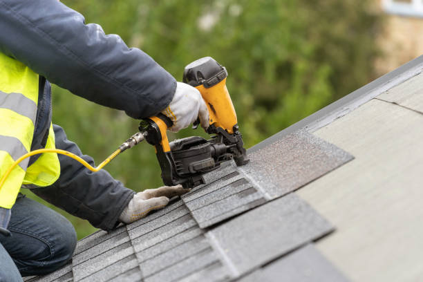 Best Sheet Metal Roofing  in Syracuse, NE