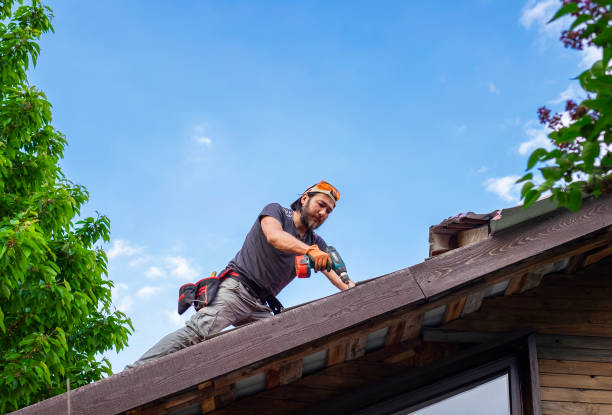 Best Green or Eco-Friendly Roofing Solutions  in Syracuse, NE