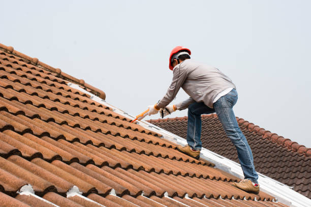 Best Asphalt Shingle Roofing  in Syracuse, NE