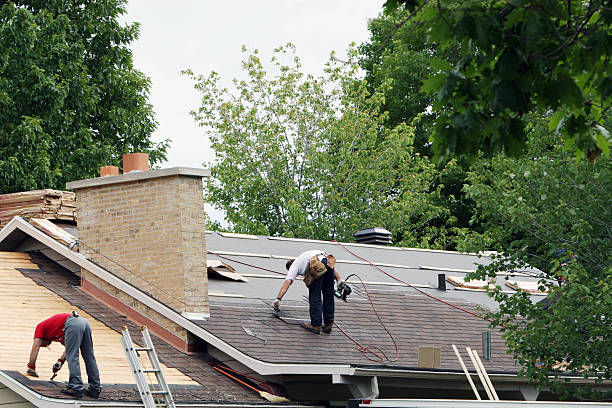 Best Roof Moss and Algae Removal  in Syracuse, NE