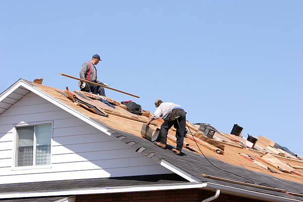 Best Gutter Installation and Repair  in Syracuse, NE